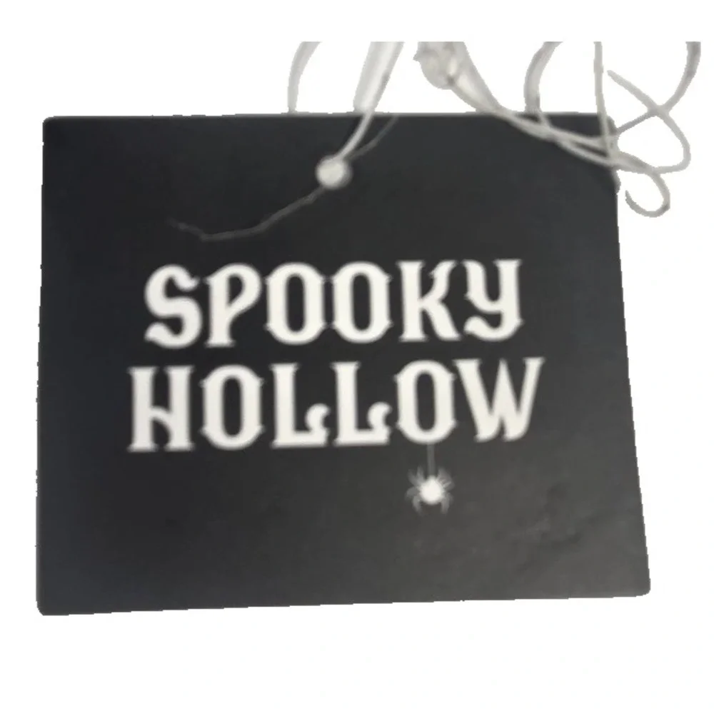Spooky Hollow Ghost Coffin LED Figurine Adult 9in Black White NEW Halloween